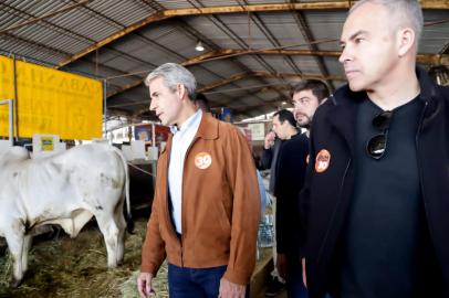 O presidenciável do Partido Novo, Felipe D¿Ávila, visita a Expointer neste domingo (4). Acompanhado do candidato a governador Ricardo Jobim e de outro correligionários, D¿Ávila circulou pelos estandes da feira, conversando com  expositores e visitantes.<!-- NICAID(15196738) -->