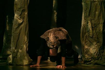 Amazônia - um olhar sobre a floresta: um espetáculo para crianças e adultos que mescla dança, teatro, música e artes visuais, para contar a história de animais que perdem seus ambientes naturais em função da destruição da natureza. A peça propõe uma reflexão sobre as consequências do desmatamento, por meio de luzes, sons, movimentos, encantamentos, bonecos e objetos que se transformam constantemente, mostrando a saga dos heróis bichos.Fotógrafo: Adriana Marchiori<!-- NICAID(15203639) -->