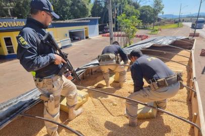 Polícia Rodoviária Federal apreende duas toneladas de maconha em carga de milho.<!-- NICAID(15216315) -->