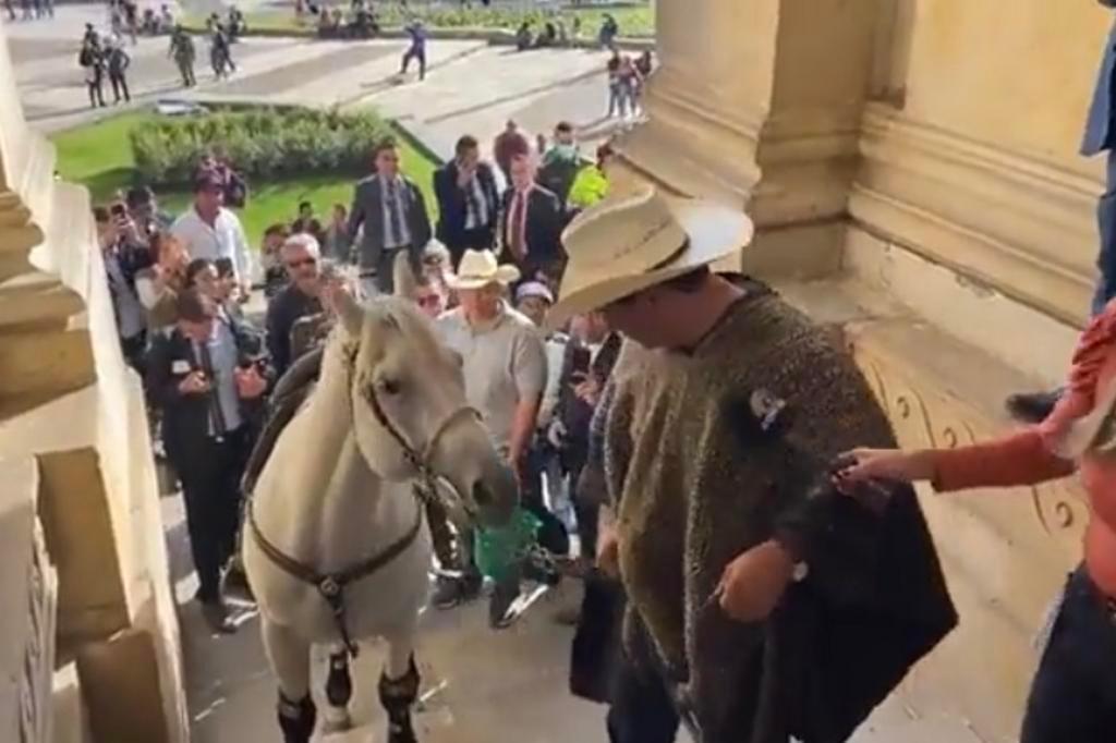 Homens esquartejam cavalo moribundo em tourada na Colômbia - Notícias - R7  Internacional