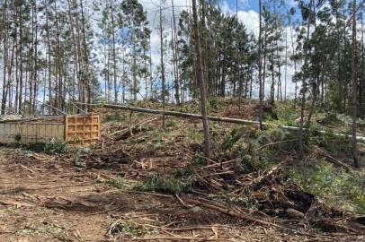 Um homem de 48 anos morreu após ser atingido por um eucalipto, na manhã desta quarta-feira (28), em Campestre da Serra. A ocorrência foi registrada por volta de 9h, na localidade de São Bernardo Velho, área rural do município. A vítima foi identificada pela Polícia Civil como Paulo Ortiz do Prado.<!-- NICAID(15219857) -->