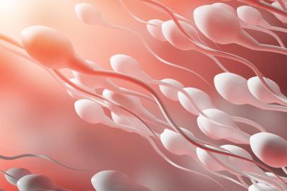The movement of sperm to the egg on a red background. 3d rendering*A PEDIDO DE ELANA MAZON* The movement of sperm to the egg on a red background. - Foto: katestudio/stock.adobe.comFonte: 220045062<!-- NICAID(15232699) -->