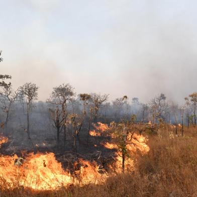 Flames rise from a forest during a wildfire in Brasilia National Park on September 5, 2022. (Photo by EVARISTO SA / AFP)Editoria: DISLocal: BrasíliaIndexador: EVARISTO SASecao: fireFonte: AFPFotógrafo: STF<!-- NICAID(15239053) -->