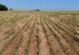 Previsão do tempo para o RS traz uma combinação de duplo efeito no campo