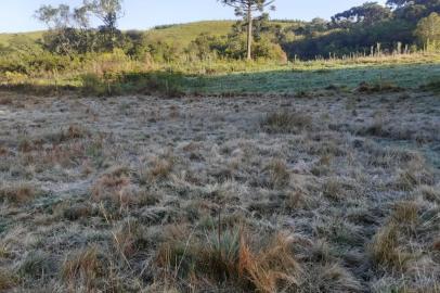 Imagens registradas pelo caxiense Evaldo de Souza, 65, por volta das 6h de 2 de novembro de 2022, na chácara onde reside, na localidade de Vila Seca, em Caxias do Sul.<!-- NICAID(15253361) -->