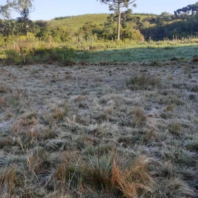 Imagens registradas pelo caxiense Evaldo de Souza, 65, por volta das 6h de 2 de novembro de 2022, na chácara onde reside, na localidade de Vila Seca, em Caxias do Sul.<!-- NICAID(15253361) -->