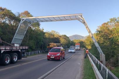 Inéditas no país, travessias aéreas na Rota do Sol evitarão a morte de 7 mil anfíbios durante a primavera e o verão<!-- NICAID(14928006) -->