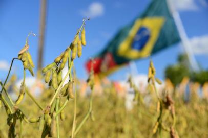 NÃO-ME-TOQUE, RS, BRASIL - 06-03-2016 - Uma das principais feiras do agronegócio do Brasil. (FOTO: DIOGO ZANATTA/ESPECIAL)<!-- NICAID(12057134) -->