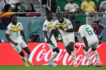 Senegals forward #19 Famara Diedhiou (2nd R) celebrates scoring his teams second goal with his teammates during the Qatar 2022 World Cup Group A football match between Qatar and Senegal at the Al-Thumama Stadium in Doha on November 25, 2022. (Photo by OZAN KOSE / AFP)Editoria: SPOLocal: DohaIndexador: OZAN KOSESecao: soccerFonte: AFPFotógrafo: STF<!-- NICAID(15276362) -->