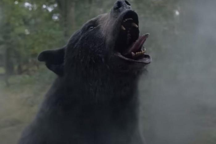 A volta de Pablo EscoBear: O Urso do Pó Branco, o filme baseado