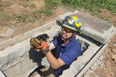 Filhotes de cachorro ficaram presos em tubulação e foram resgatados por operários da prefeitura.<!-- NICAID(15303311) -->