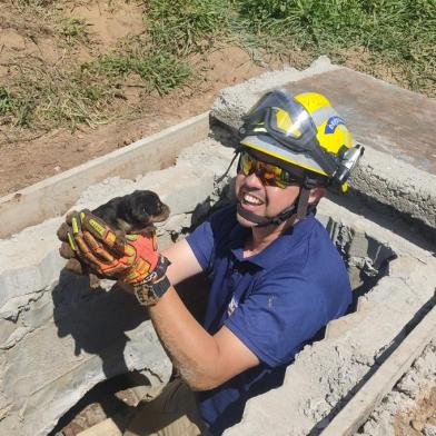 Filhotes de cachorro ficaram presos em tubulação e foram resgatados por operários da prefeitura.<!-- NICAID(15303311) -->