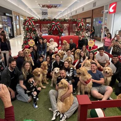 Grupo de cães Golden Retrievers se reuniu no Shopping Villagio Caxias<!-- NICAID(15303576) -->