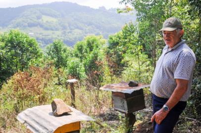 CAXIAS DO SUL, RS, BRASIL, 26/12/2022. Municípios da Serra confirmam morte de milhões de abelhas por uso indevido de inseticidas. Na foto Delmo Trentin (Neimar De Cesero/Agência RBS)<!-- NICAID(15305022) -->