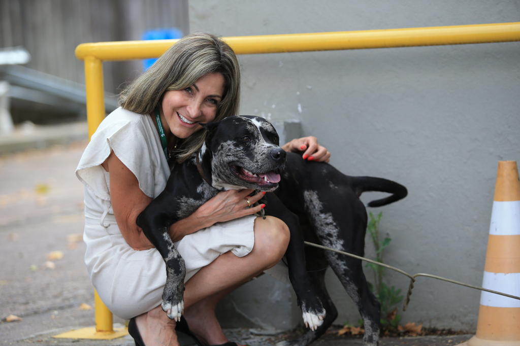 Veterinária diz que cães resgatados em situação de abandono estão  desnutridos e doentes: 'Revoltante', Sorocaba e Jundiaí