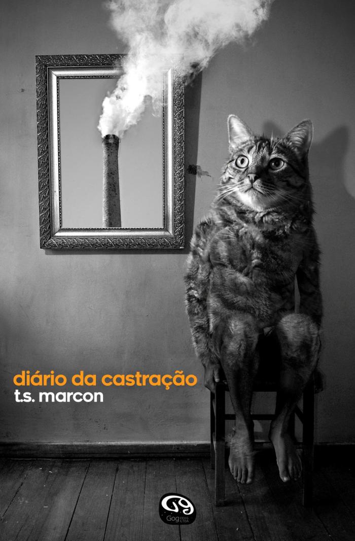 design de capa Tiago Sozo Marcon / Divulgação