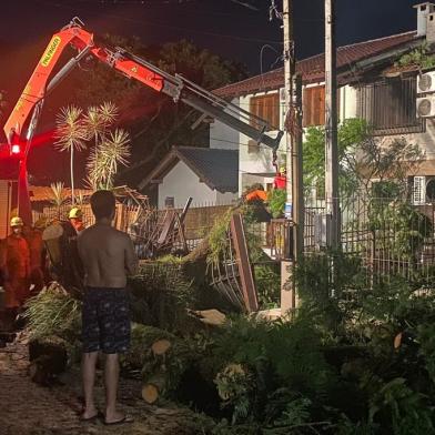 Instabilidade causou queda de árvore no bairro Ipanema, na zona sul de Porto Alegre.<!-- NICAID(15328162) -->