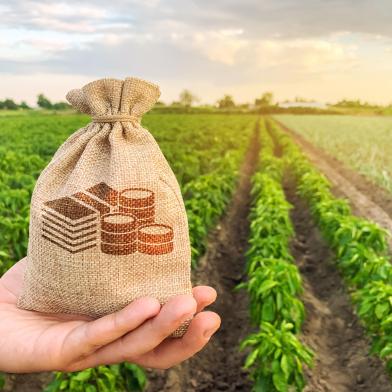 The farmer holds a money bag on the background of plantations. Lending and subsidizing farmers. Grants and support. Profit from agribusiness. Land value and rent. Taxes taxation. Agricultural startupsEconomia no agronegócio - Foto: Andrii Yalanskyi/stock.adobe.comFonte: 291497126<!-- NICAID(15329119) -->