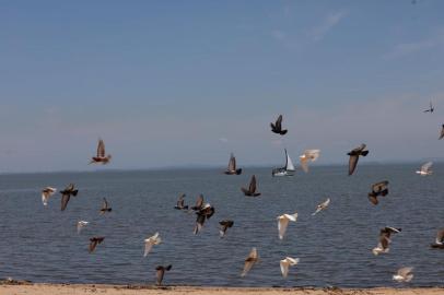 Ambiental de calor em Porto Alegre na Praia de Ipanema<!-- NICAID(15334110) -->