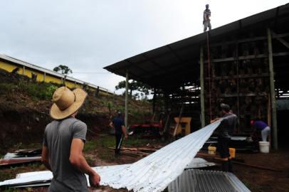 NOVA PÁDUA, RS, BRASIL, 03/02/2023. Estragos causados pela chuva de granizo na tarde de quinta (02) em Nova Pádua. Produtores registraram queda de parreirais e destelhamento de pavilhões. Na foto, galpão de armazenamento de alho e parreiral caído em propriedade no Travessão Mützel. (Bruno Todeschini/Agência RBS)Indexador: BTK<!-- NICAID(15339433) -->