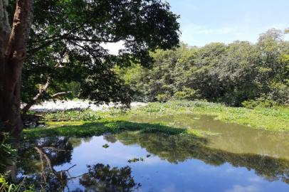 Poluição do Rio Gravataí - Foto: Roger Silva/Agência RBS<!-- NICAID(15343773) -->