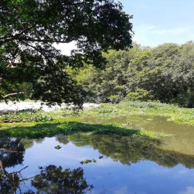 Poluição do Rio Gravataí - Foto: Roger Silva/Agência RBS<!-- NICAID(15343773) -->