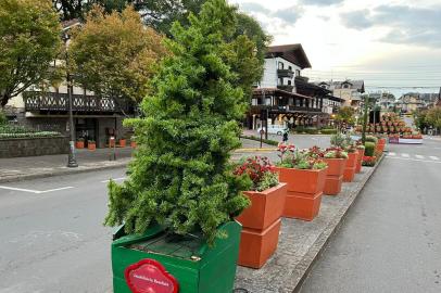 Um dos pinheirinhos que integraram a decoração do Natal Luz teve o tempo de permanência prorrogado na área central de Gramado. O motivo é nobre: ele abriga um ninho, com pelo menos quatro ovos de passarinho em fase de incubação. A planta de quase dois metros de altura, plantada dentro de uma caixa, está instalada na Avenida Borges de Medeiros, em frente ao Posto de Informações Turísticas, junto à Praça Major Nicoletti, onde permanecerá até que a moradia seja liberada.<!-- NICAID(15346809) -->