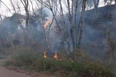 Mesmo com redução em ocorrências, incêndios em vegetação<!-- NICAID(15852569) -->