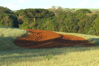 Técnica de terraço é usada no campo para evitar perdas na chuva ou estiagem; saiba como funciona<!-- NICAID(15914686) -->